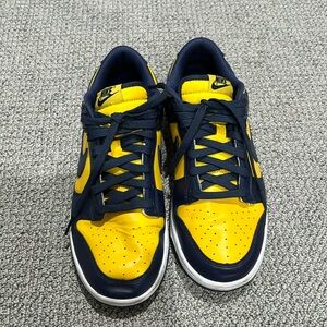 Michigan Dunks